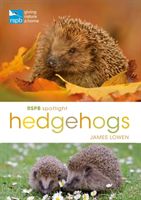 RSPB Spotlight Hedgehogs (Lowen James)(Paperback)