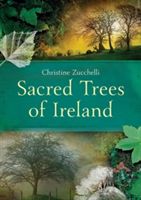 Sacred Trees of Ireland (Zucchelli Christine)(Paperback)