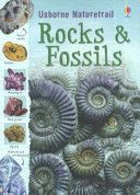 Rocks and Fossils (Reid Struan)(Paperback)