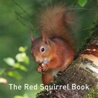 Red Squirrel Book (Russ Jane)(Pevná vazba)