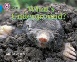 What's Underground - Band 04/Blue (Munton Gill)(Paperback)