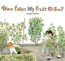 How Does My Fruit Grow? (Muller Gerda)(Pevná vazba)