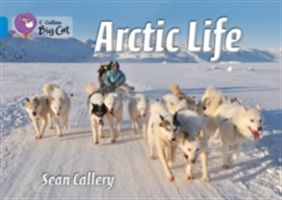 Arctic Life - Band 04/Blue (Callery Sean)(Paperback)