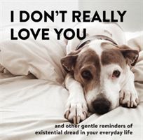 I Don't Really Love You - And Other Gentle Reminders of Existential Dread in Your Everyday Life (Beyer Alex)(Pevná vazba)
