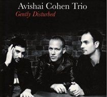 Gently Disturbed (Avishai Cohen Trio) (Vinyl / 12