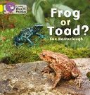 Frog or Toad? - Band 03/Yellow (Barraclough Sue)(Paperback)