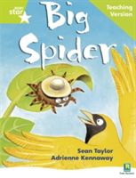 Rigby Star Phonic Guided Reading Green Level: Big Spider Teaching Version(Paperback)
