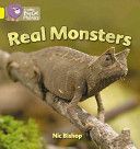 Real Monsters - Band 03/Yellow (Bishop Nic)(Paperback)