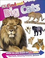 DKfindout! Big Cats (DK)(Paperback / softback)