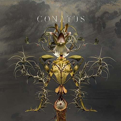 Conatus (Vinyl / 12