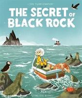 Secret of Black Rock(Paperback)