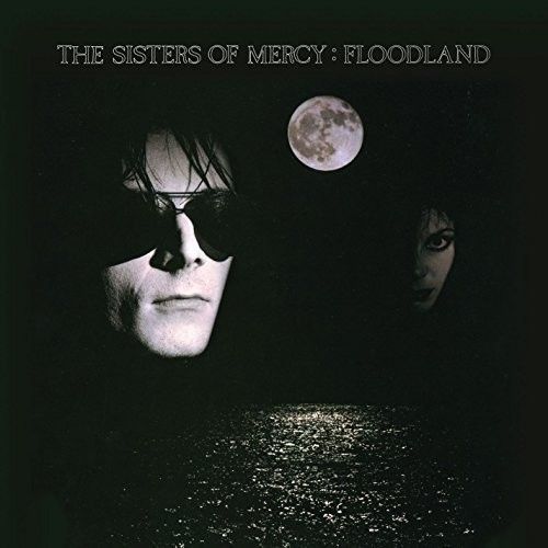Floodland (The Sisters of Mercy) (Vinyl / 12