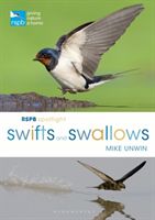 RSPB Spotlight Swifts and Swallows (Unwin Mike)(Paperback)