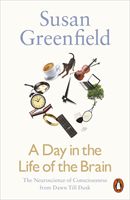 A DAY IN THE LIFE OF THE BRAIN (Greenfield Susan)(Paperback)
