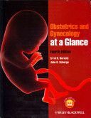 Obstetrics and Gynecology at a Glance (Norwitz Errol R.)(Paperback)