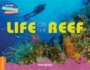Life on the Reef Orange Band (Belcher Andy)(Paperback)