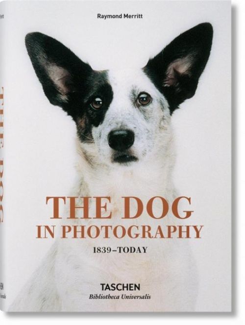 Dog in Photography 1839-Today (Merritt Raymond)(Pevná vazba)