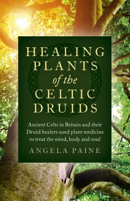 Healing Plants of the Celtic Druids - Ancient Celts in Britain and their Druid healers used plant medicine to treat the mind, body and soul (Paine Angela)(Paperback / softback)