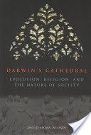 Darwin's Cathedral: Evolution, Religion, and the Nature of Society - Evolution, Religion and the Nature of Society (Wilson David Sloan)(Paperback)