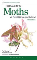 Field Guide to the Moths of Great Britain and Ireland - Third Edition (Waring Paul)(Paperback / softback)