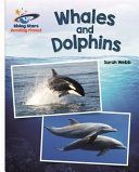 Reading Planet - Whales and Dolphins - White: Galaxy (Webb Sarah)(Paperback)