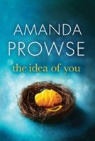 Idea of You (Prowse Amanda)(Paperback)