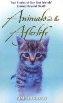 Animals and the Afterlife (Sheridan Kim)(Paperback)