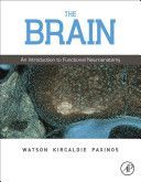 Brain - An Introduction to Functional Neuroanatomy (Watson Charles)(Pevná vazba)