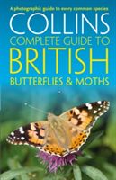 British Butterflies and Moths (Sterry Paul)(Paperback)