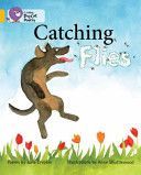 Catching Flies(Paperback)