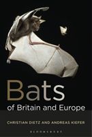 Bats of Britain and Europe (Dietz Christian)(Paperback / softback)