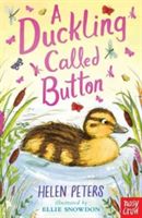 Duckling Called Button (Peters Helen)(Paperback)