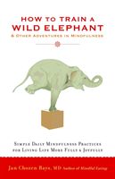 How to Train A Wild Elephant - And Other Adventures in Mindfulness (Bays Jan Chozen)(Paperback)