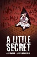 Little Secret (Evans Ann)(Paperback)