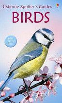 Birds (Holden Peter)(Paperback)