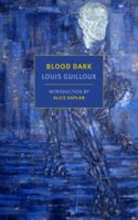 Blood Dark (Kaplan Alice)(Paperback)