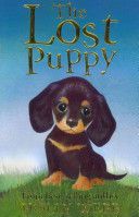 Lost Puppy (Webb Holly)(Paperback)