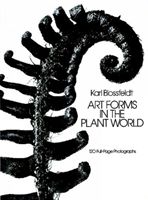 Art Forms in the Plant World (Blossfeldt Karl)(Paperback)