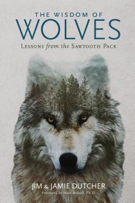 The Wisdom of Wolves: Lessons from the Sawtooth Pack (Dutcher Jim)(Pevná vazba)