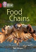 Food Chains - Band 14/Ruby (Morgan Sally)(Paperback)
