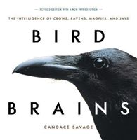 Bird Brains - The Intelligence of Crows, Ravens, Magpies, and Jays (Savage Candace)(Paperback)