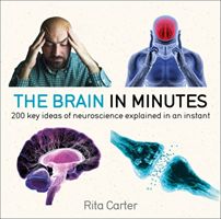 The Brain in Minutes (Carter Rita)(Paperback)