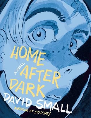 Home After Dark - A Novel (Small David (Lehigh University Pennsylvania))(Pevná vazba)