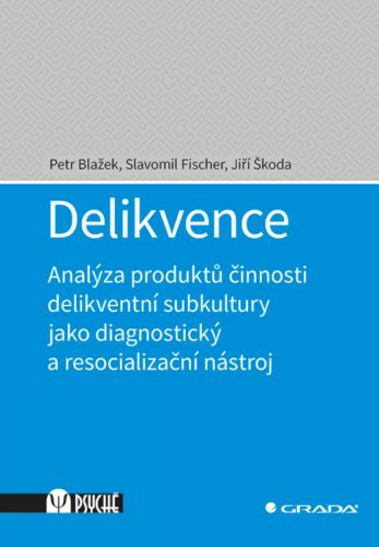 Delikvence - Jiří Škoda, Slavomil Fischer, Petr Blažek - e-kniha