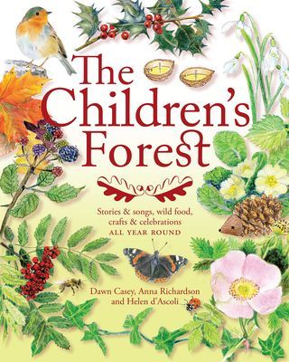 Children's Forest - Stories and songs, wild food, crafts and celebrations ALL YEAR ROUND (Casey Dawn)(Paperback / softback)