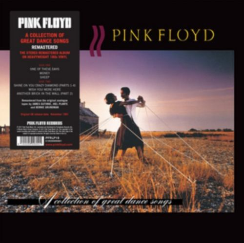 A Collection of Great Dance Songs (Pink Floyd) (Vinyl / 12