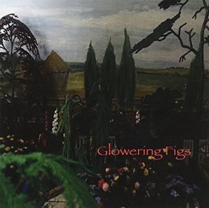 Glowering Figs (Glowering Figs) (CD / Album)