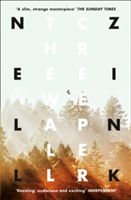 Wallcreeper (Zink Nell)(Paperback)