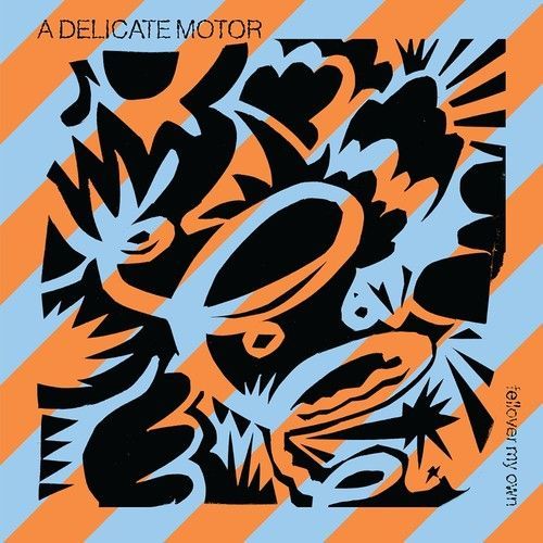 Fellover My Own (Delicate Motor) (CD)
