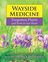 Wayside Medicine: Forgotten Plants to Make Your Own Herbal Remedies (Bruton-Seal Julie)(Pevná vazba)